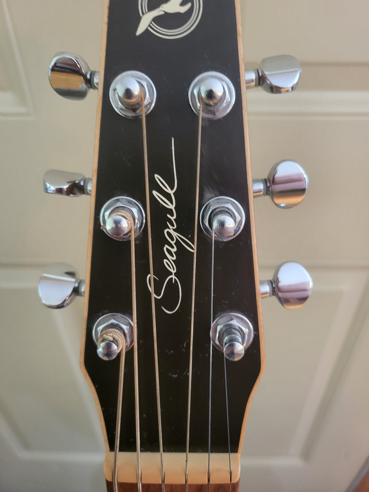 Seagull Coastline S6 Spruce Acoustic Guitar & Stand. - photo 2