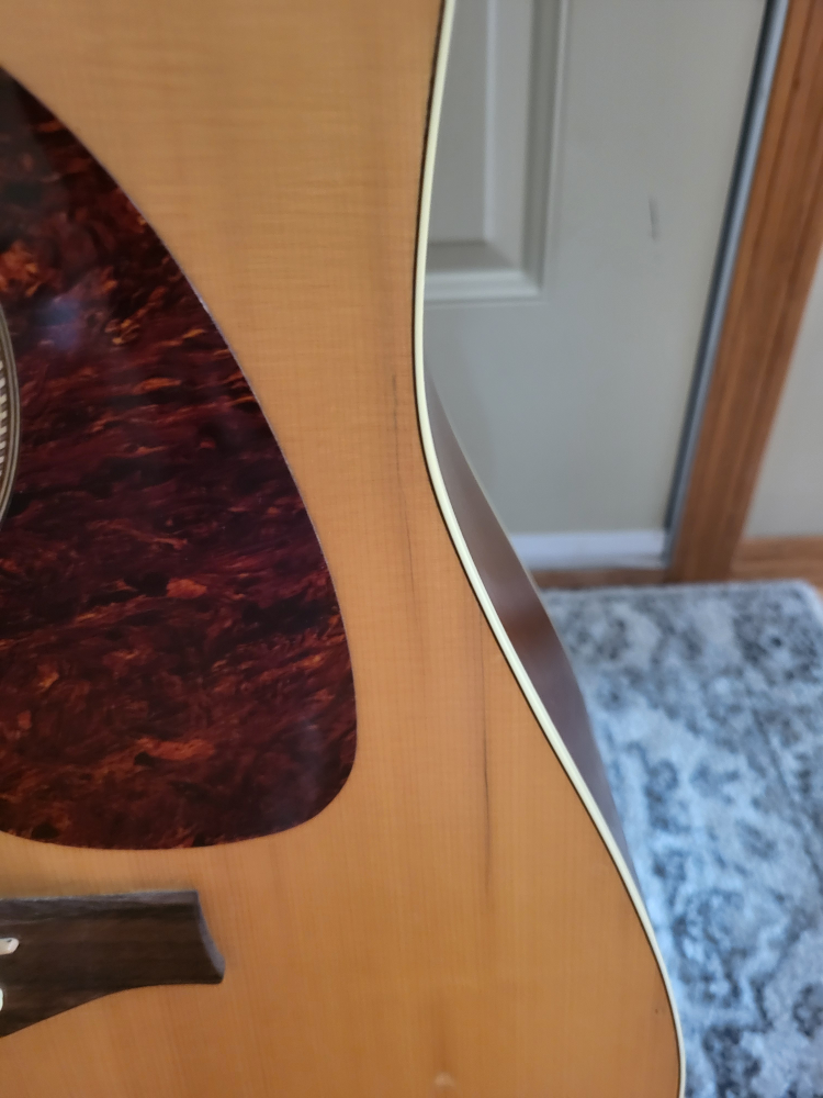 Seagull Coastline S6 Spruce Acoustic Guitar & Stand. - photo 5