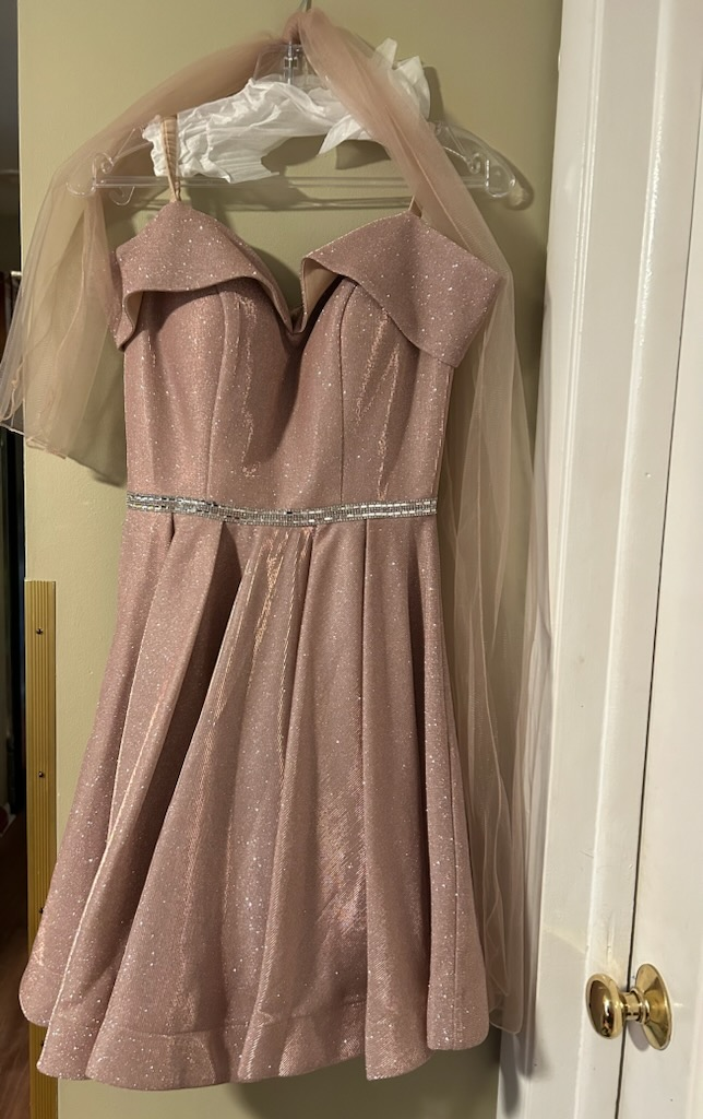 Dancing Queen Pink Sparkly Dress