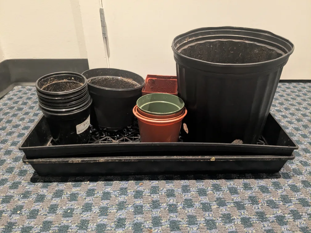 Assorted plant pots thumbnail