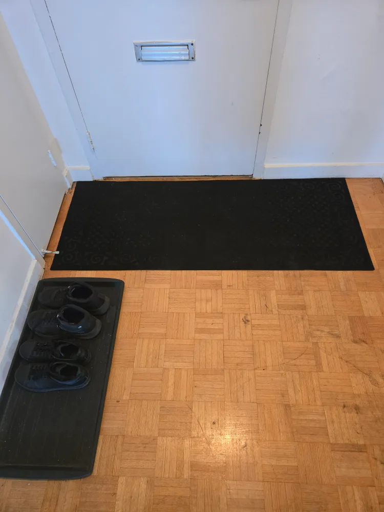 Black Entrance Mat & Shoe Tray thumbnail