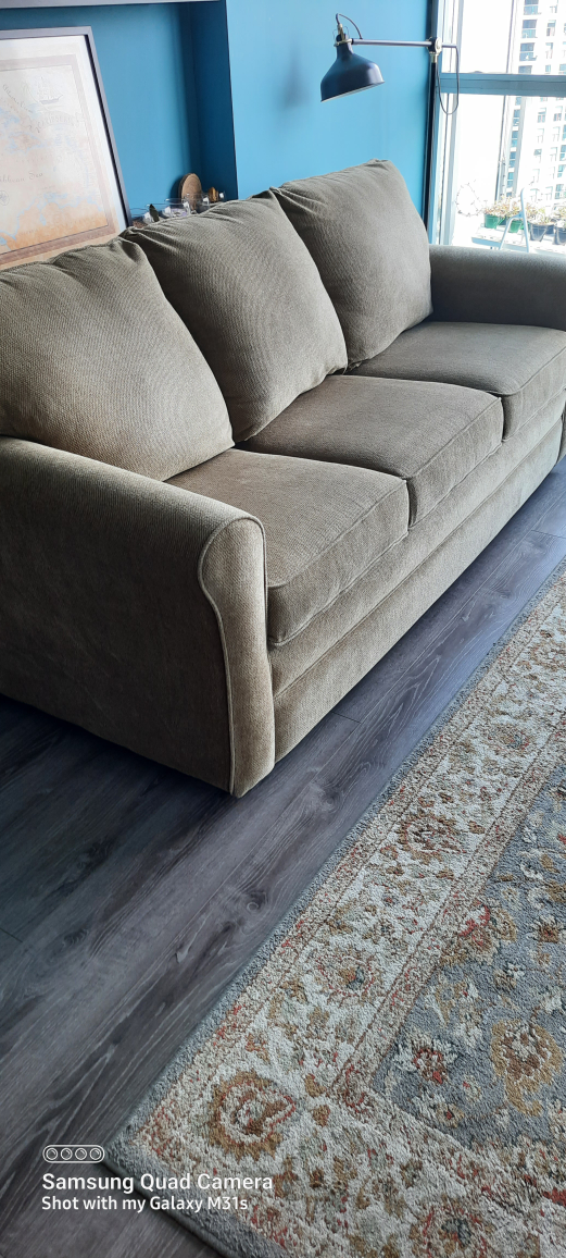Lazboy Sofa Bed - Pull Out Mattress - photo 2