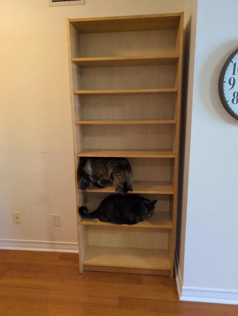 Tall wooden bookshelf image indicator(2)