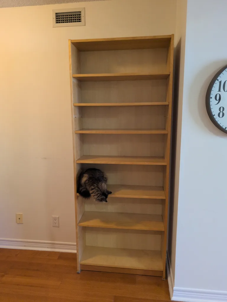 Tall wooden bookshelf image indicator(3)