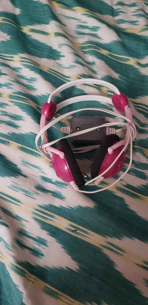 Pink Headphones
