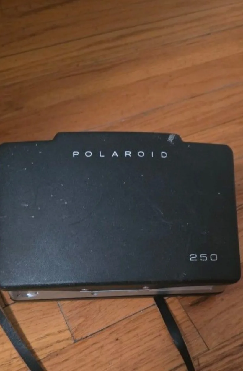 Polaroid Automatic 250 Land Camera image indicator(2)