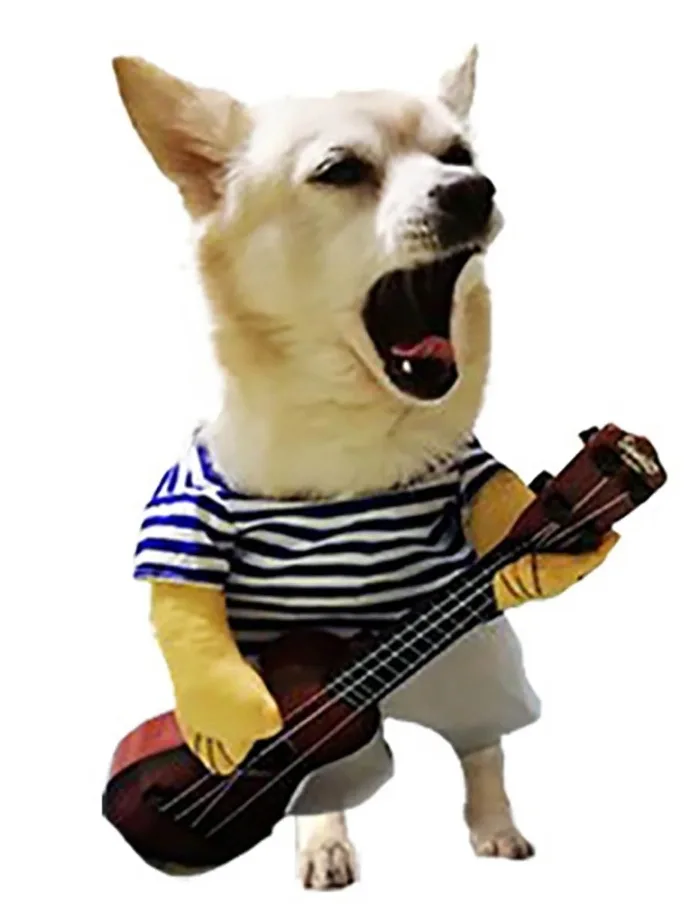 Dog Guitarist Costume - Size M image indicator(2)