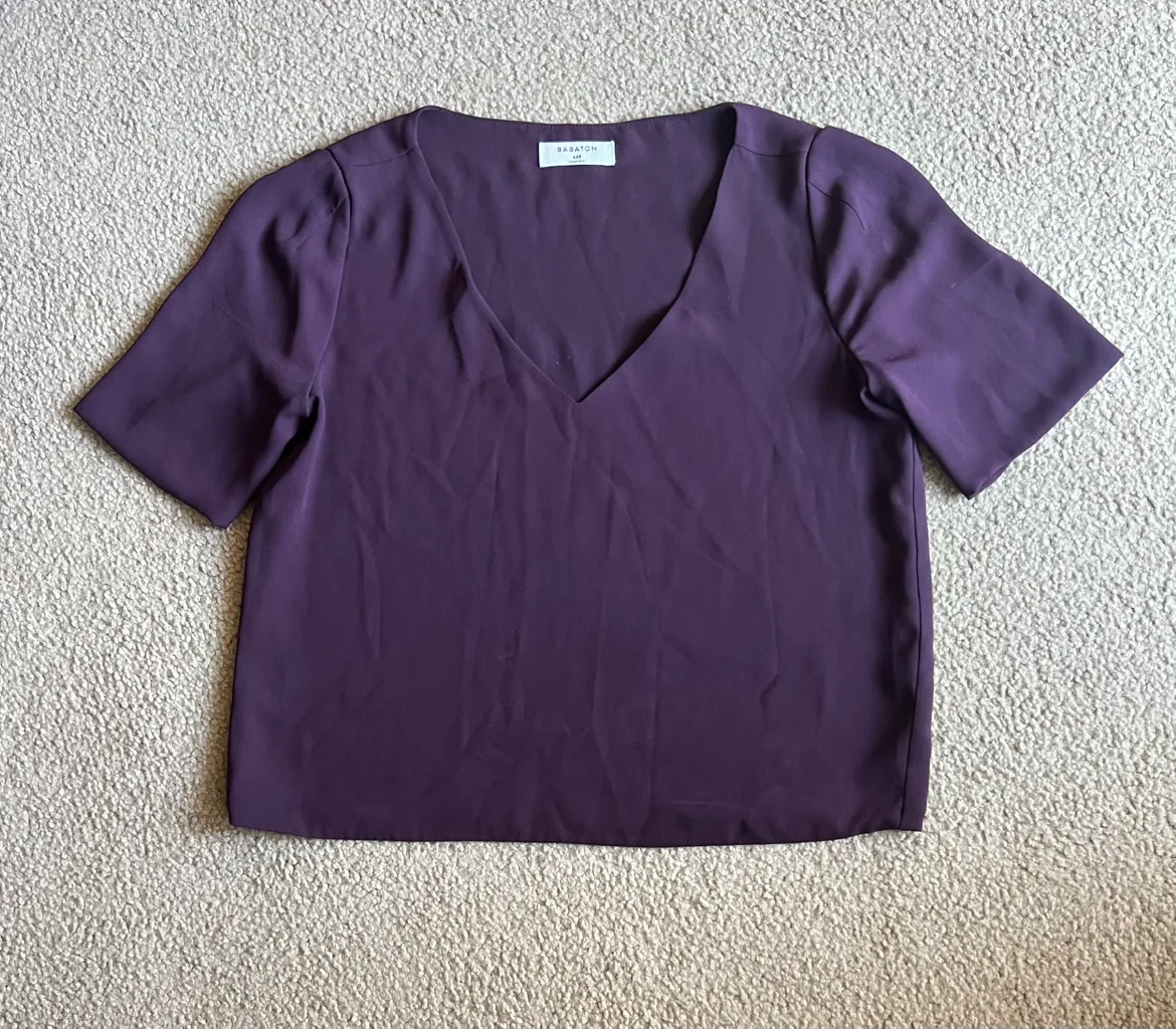 Aritzia Babaton Randy Blouse image indicator(4)