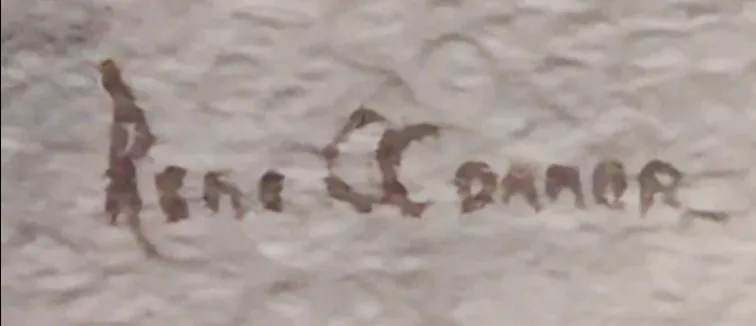 Beautiful Signed Floral Watercolour by Rene O'Connor image indicator(5)