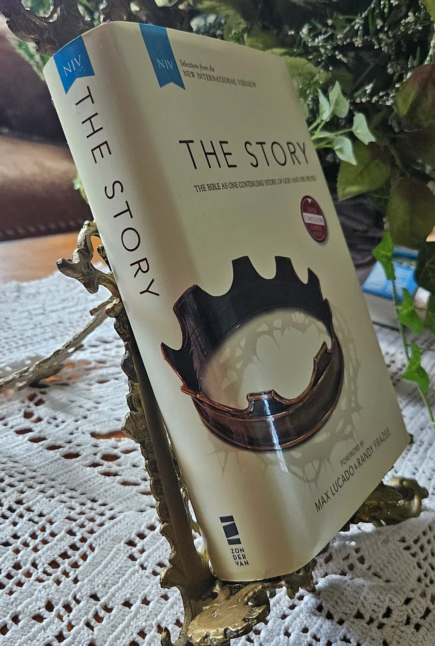 The Story NIV Bible by Max Lucado & Randy Frazee image indicator(2)