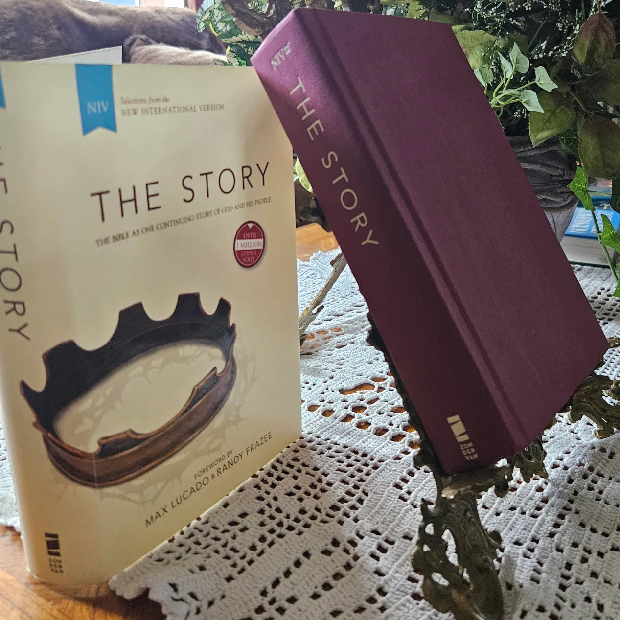 The Story NIV Bible by Max Lucado & Randy Frazee image indicator(5)