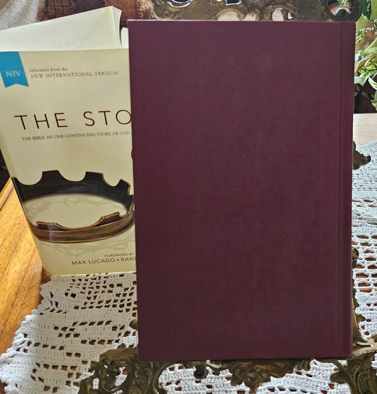 The Story NIV Bible by Max Lucado & Randy Frazee image indicator(6)