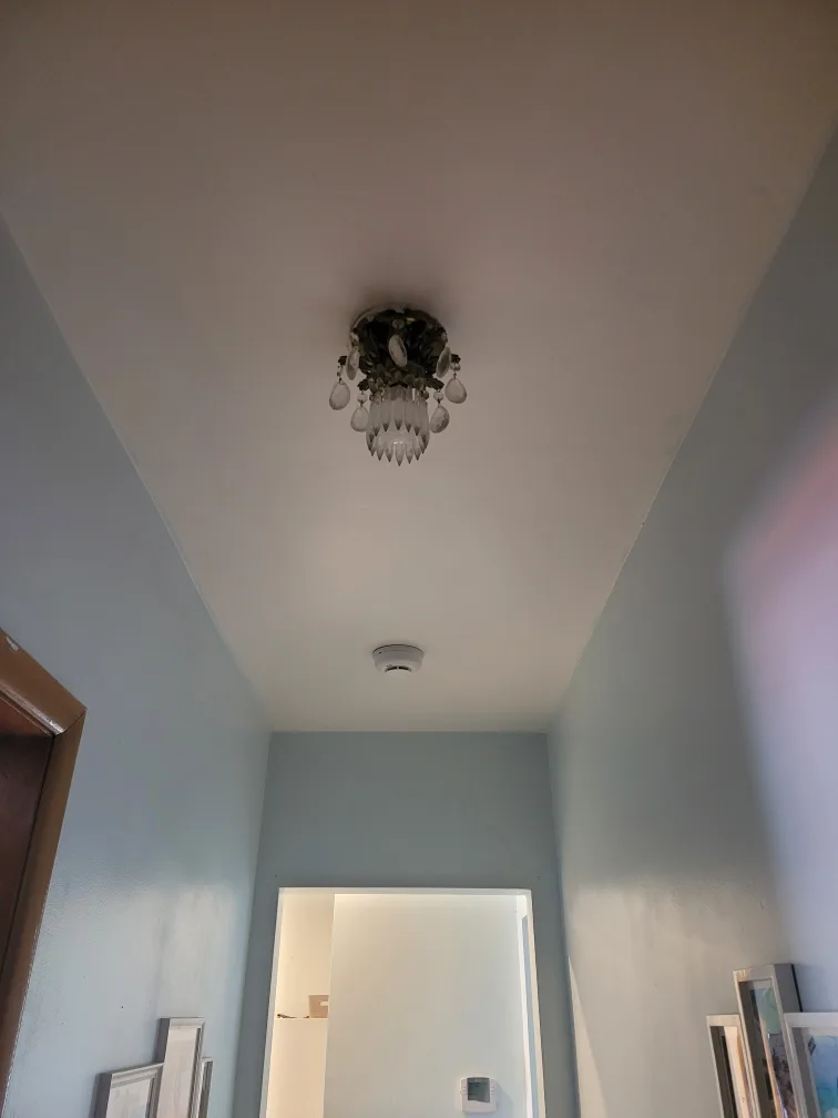 Vintage ceiling light fixtures image indicator(4)