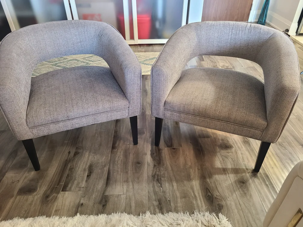 🇨🇦 Set of 2 Structube Grey Accent chairs image indicator(2)