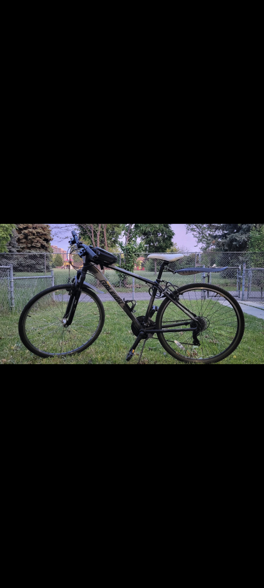 Raleigh Hybrid Bike