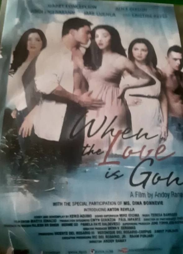 When The Love Is Gone DVD thumbnail