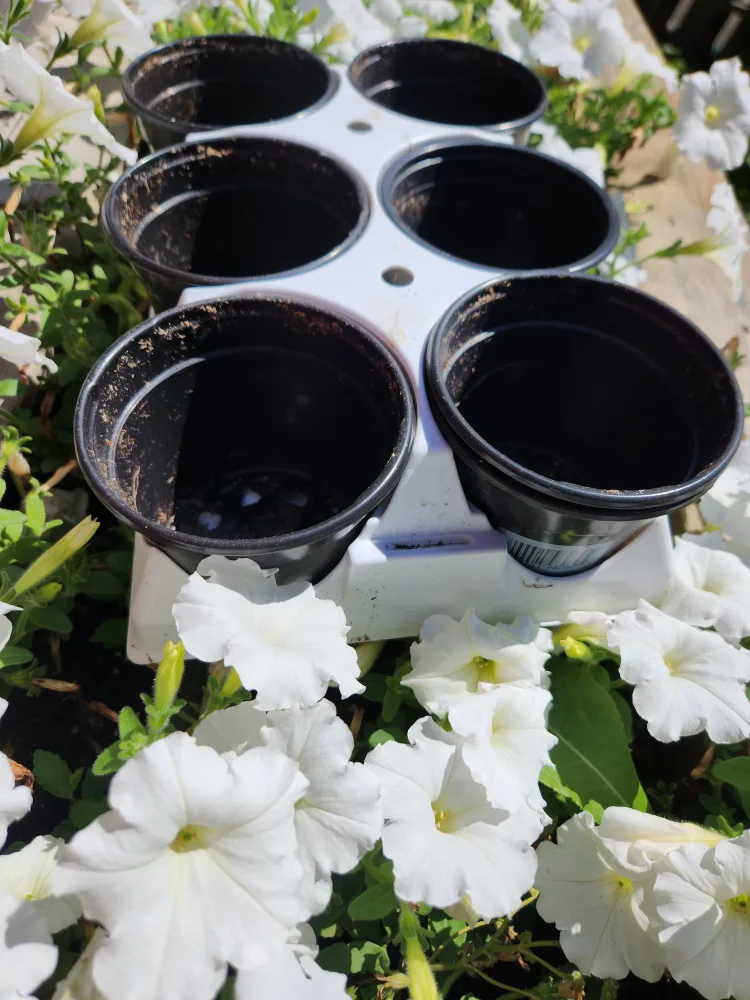 6 black pots with holder Tray 🇨🇦 image indicator(2)