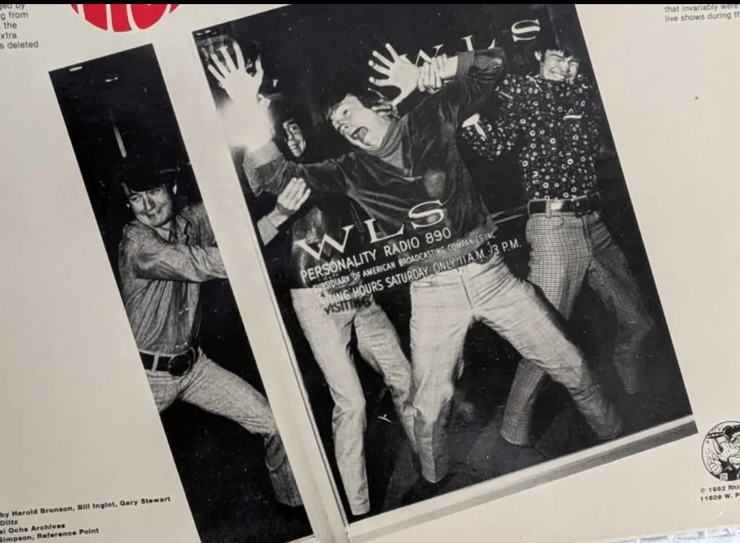 The Monkees - Monkee Business - Rare Picture Pressed Vinyl LP image indicator(8)