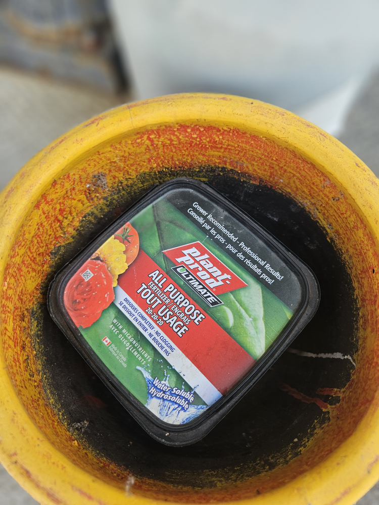 Mexican Flower Pot and plant food - photo 5
