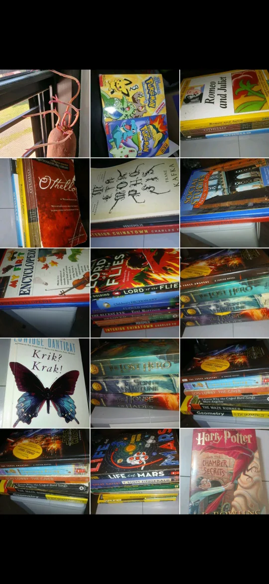 Freecycle Books: Witnesses to Freedom, Harry Potter image indicator(5)