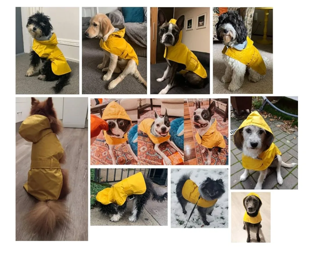 Dog Raincoat - Size XXS image indicator(7)