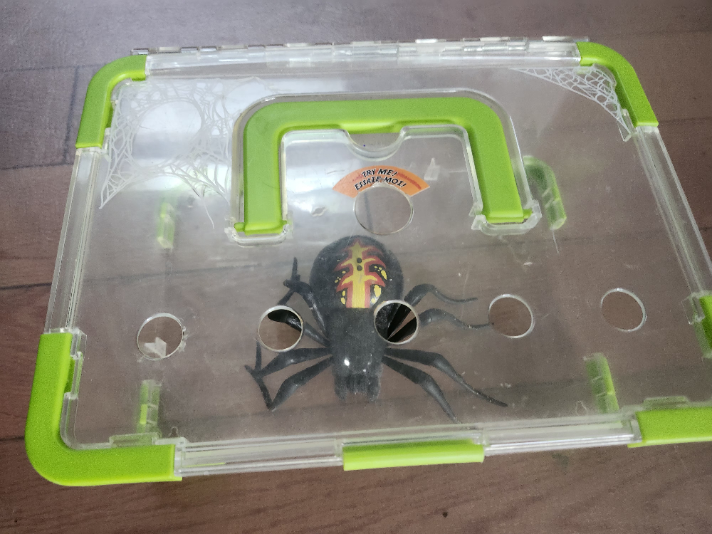 Creepy Crawlers Spider Habitat
