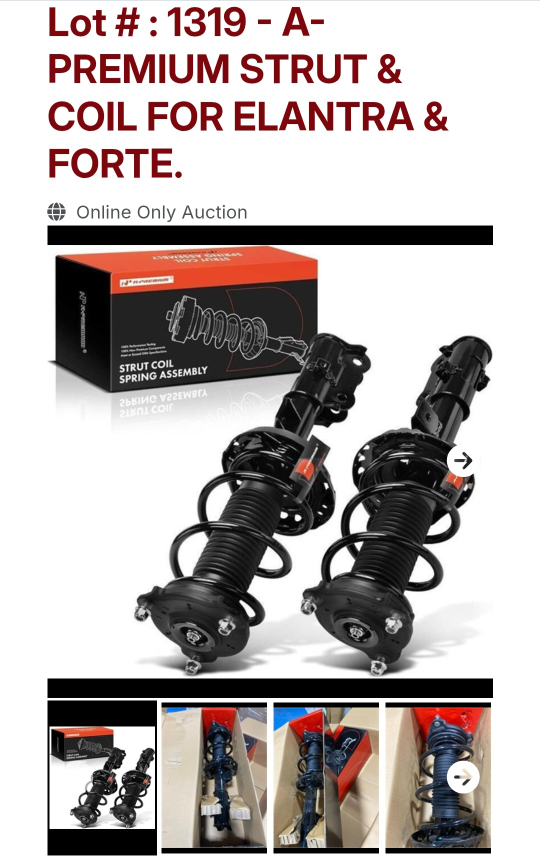 Premium Strut & Coil for Elantra & Forte