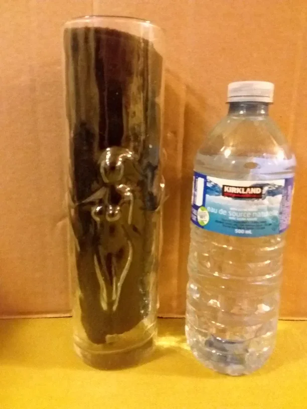 ➡️ Embossed 1980's Beverage Glasses from Florida 🇺🇸 image indicator(2)