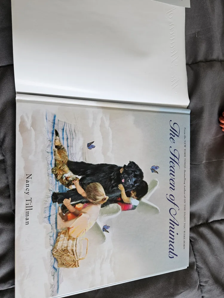 The Heaven of Animals by Nancy Tillman thumbnail