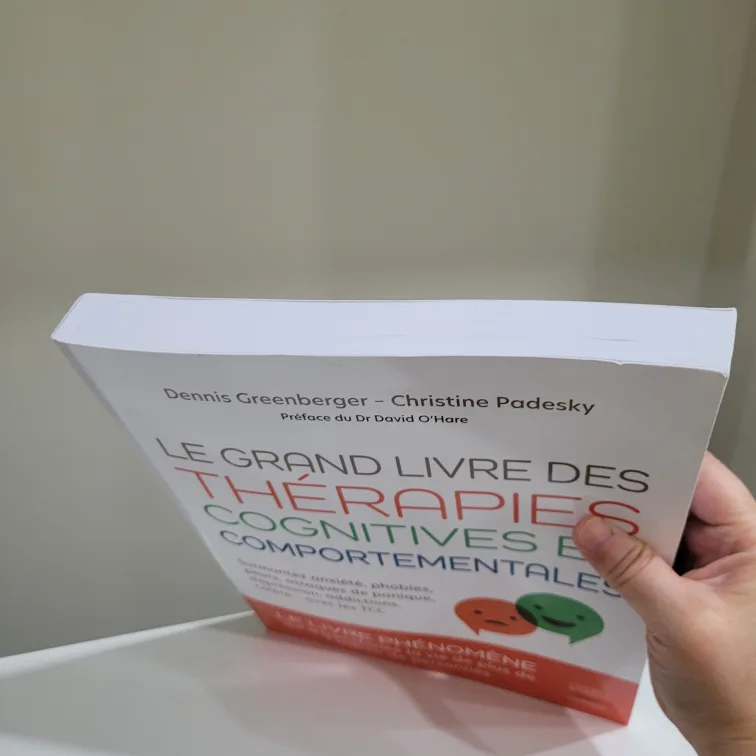 French Book image indicator(3)