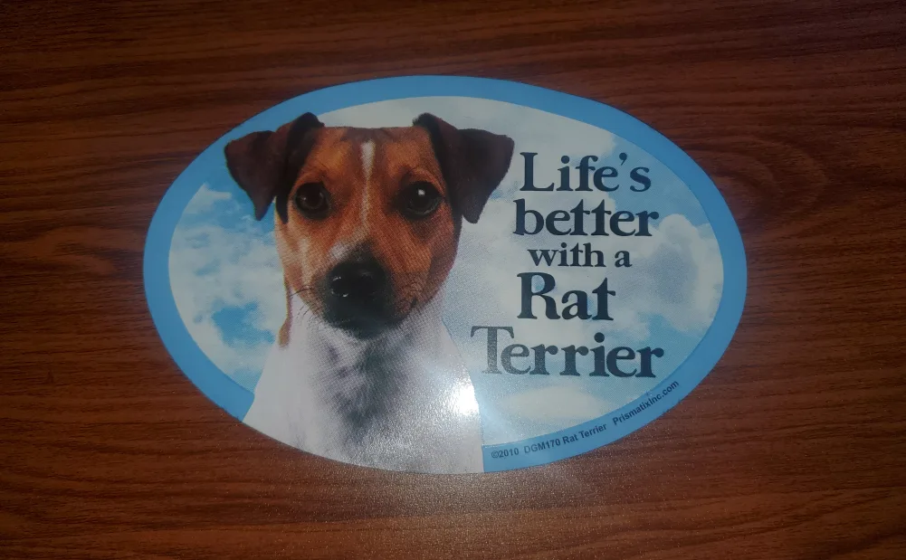 Life's better with a Rat Terrier Magnet thumbnail
