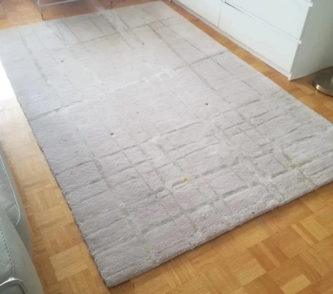 Used Beige Area Rug 5 x 8 image indicator(3)