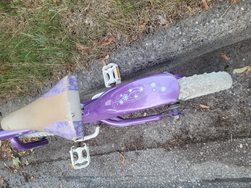 14" Wheels Sayan Purple Kids Bike image indicator(6)