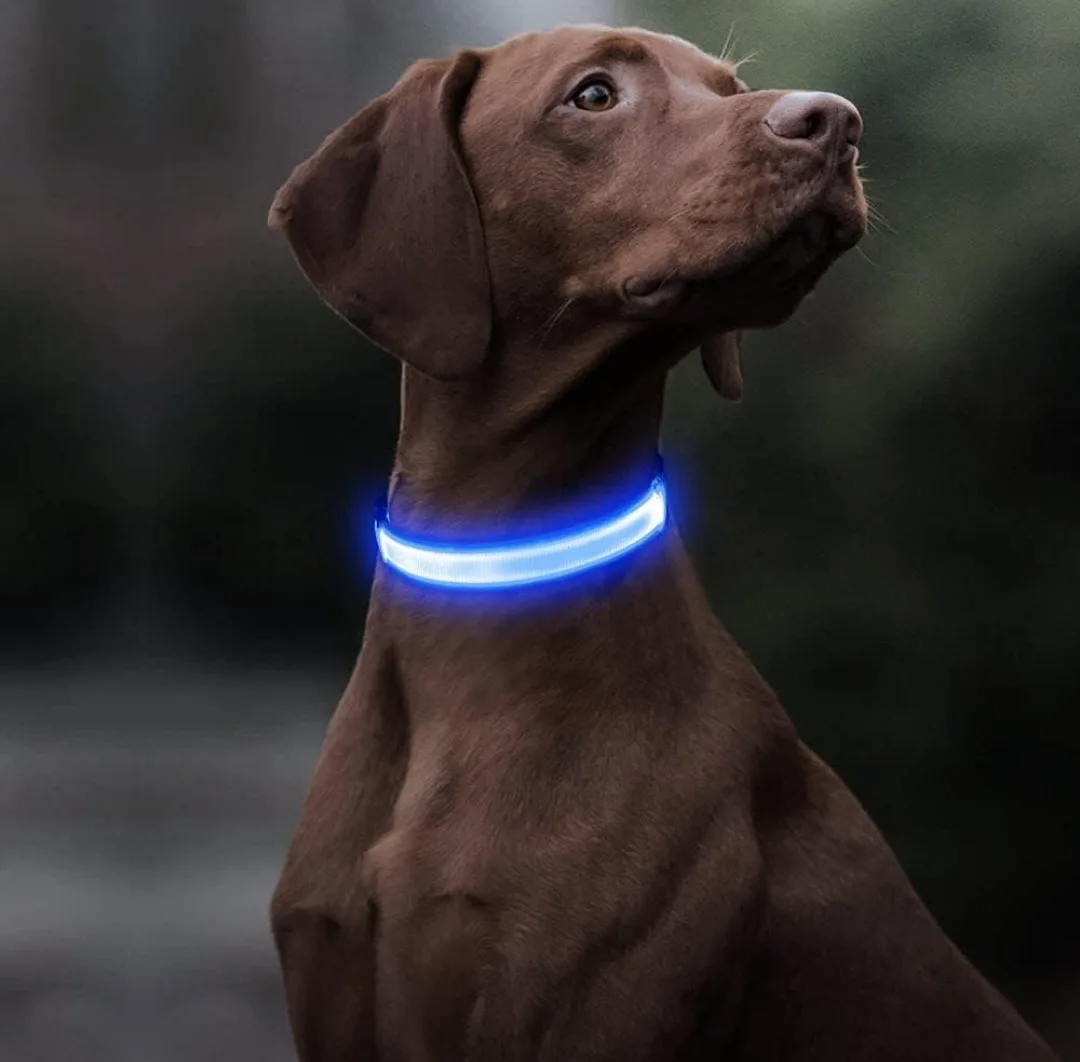 New BSEEN Blue Light Up Dog Collar - Large image indicator(4)