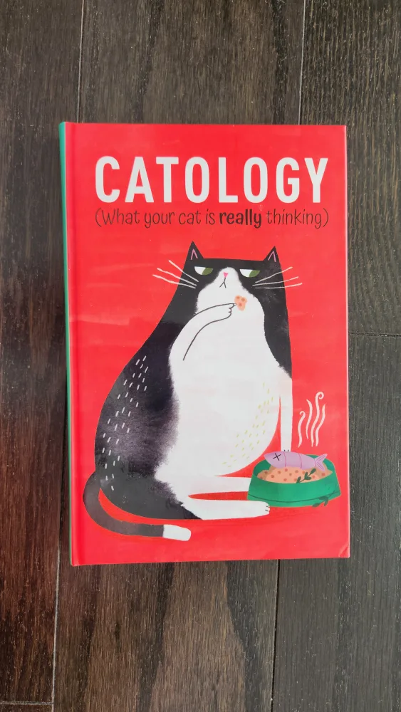 Catology: What Your Cat Is Really Thinking thumbnail