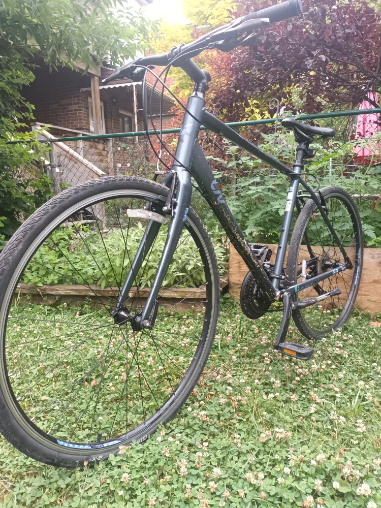 Giant Liv Hybrid Bike thumbnail