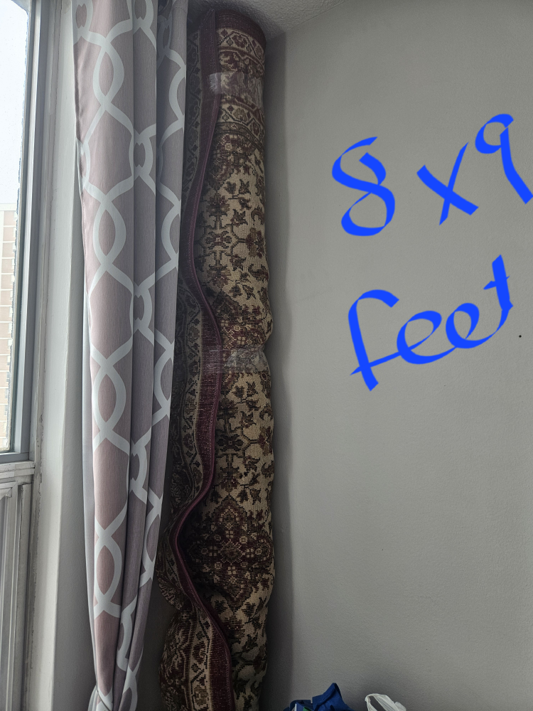 8x9 feet persian area rug