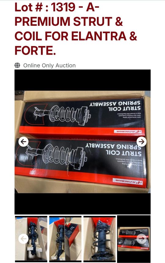 Premium Strut & Coil for Elantra & Forte - photo 5