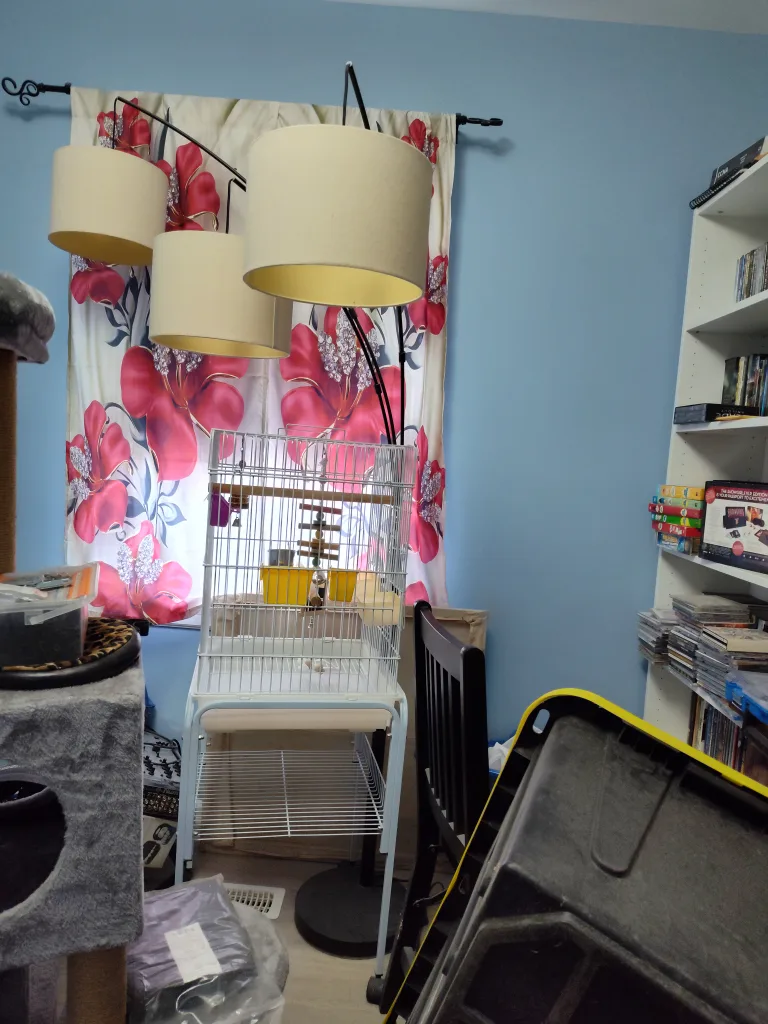 large bird cage image indicator(2)