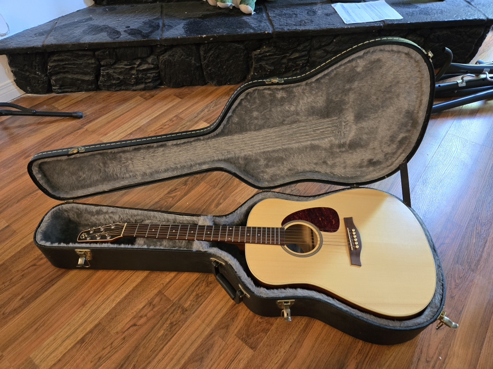 Seagull Coastline S6 Spruce Acoustic Guitar