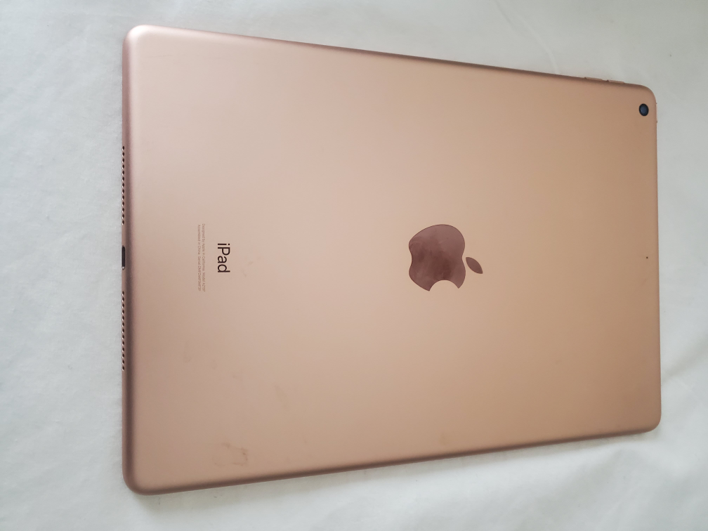 Apple iPad
