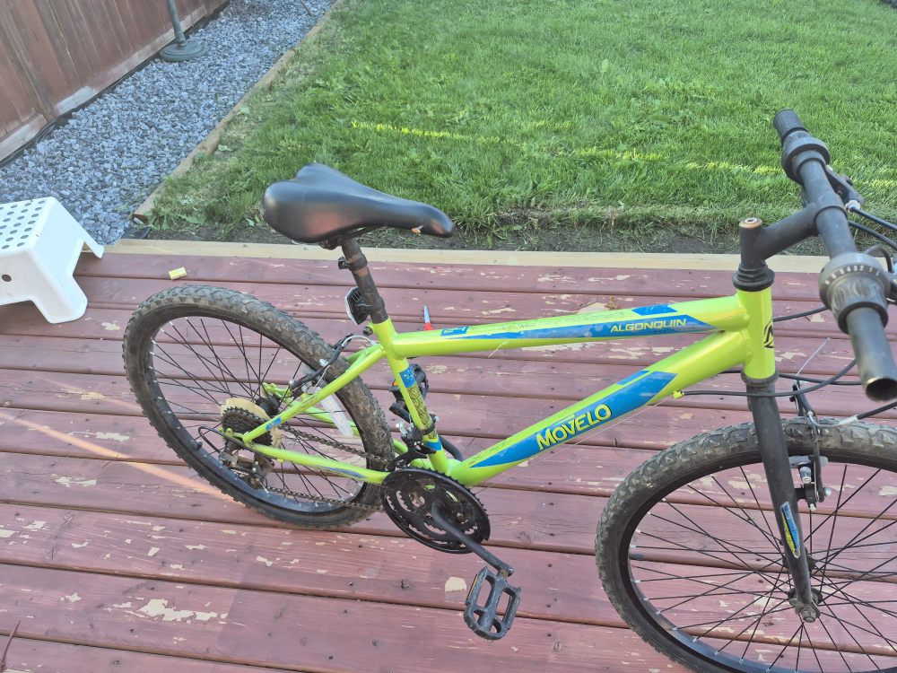 Mowelo Algonquin Bike - Green and Blue - photo 3