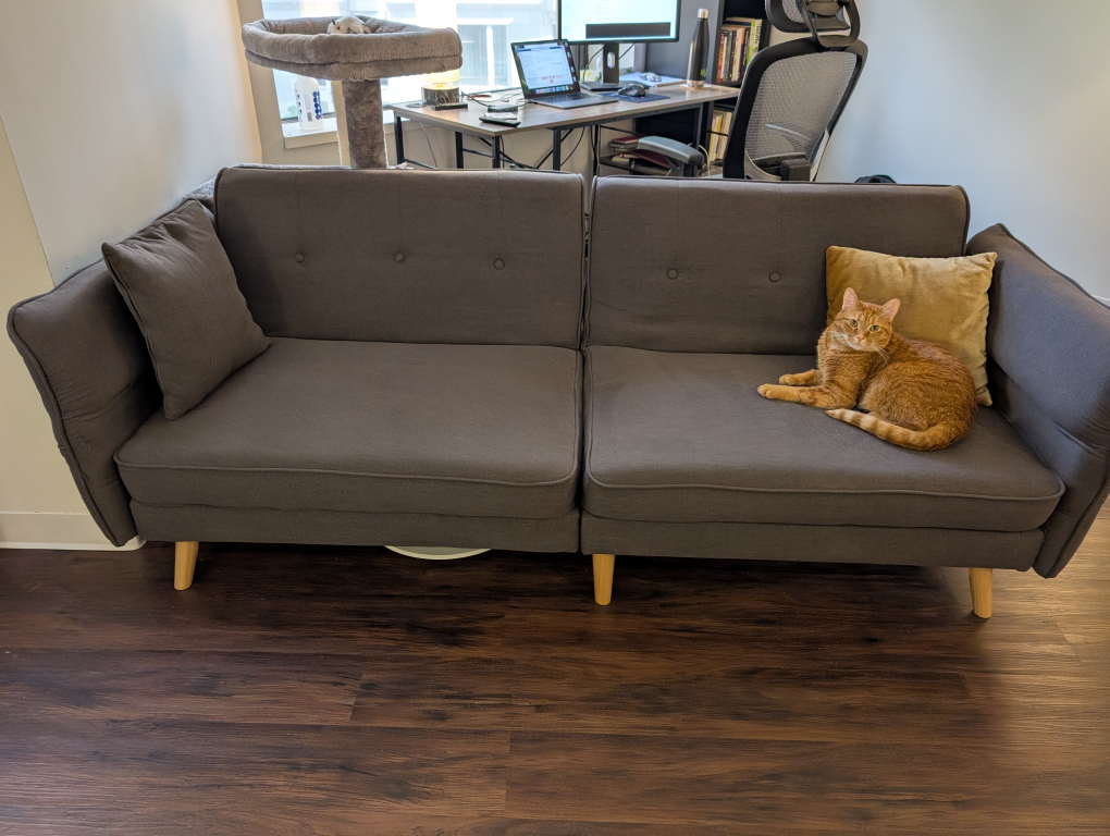 Gray Sleeper Sofa with Cushions. Cat Not Included.