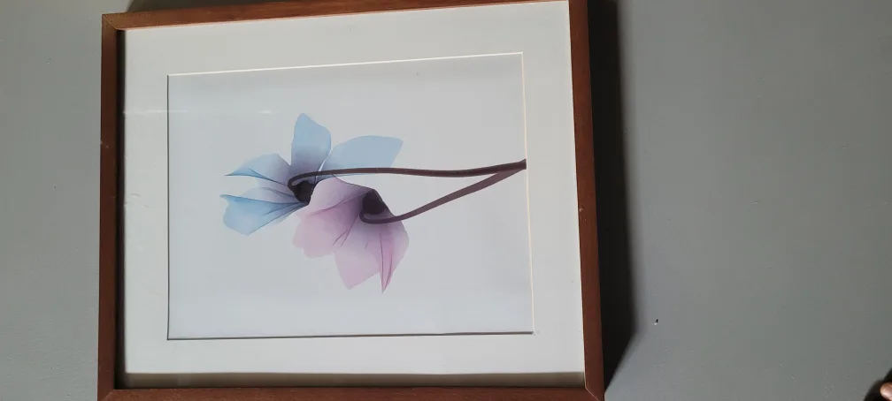 Framed Art image indicator(4)