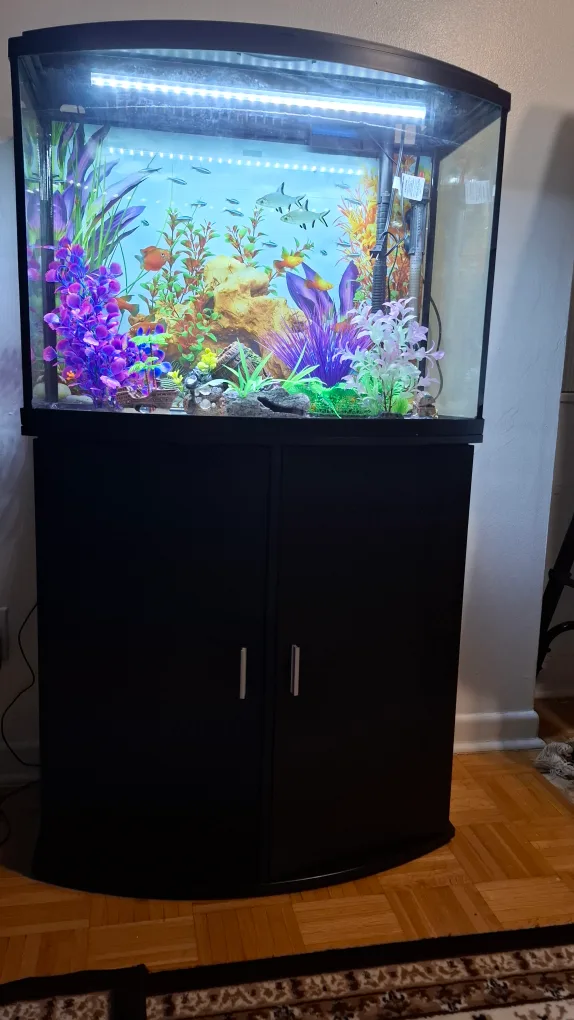 Fish tank with stand & accessories image indicator(6)