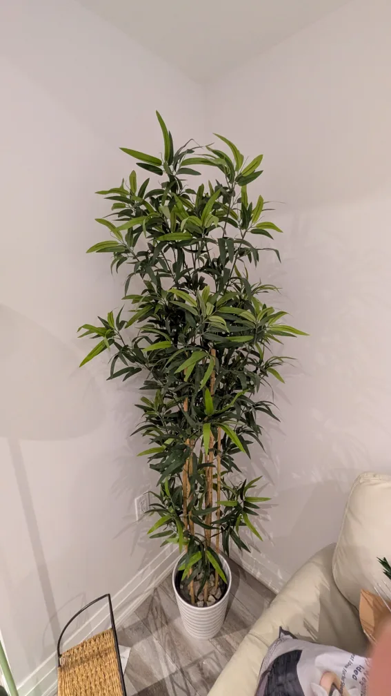 fake plant thumbnail