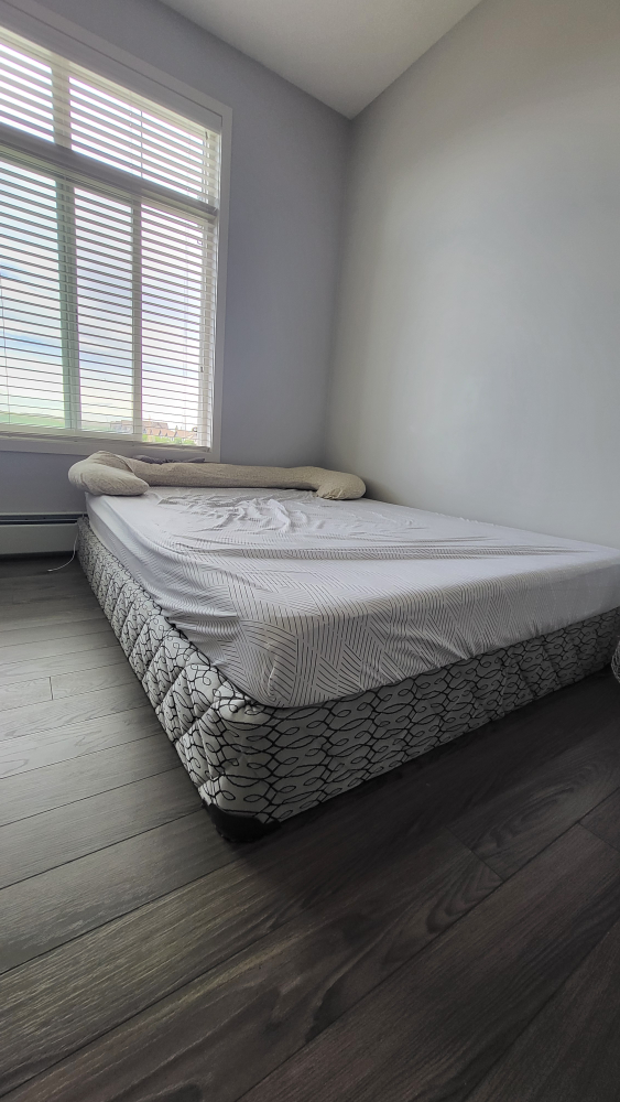 Queen size - Springbox with Mattress