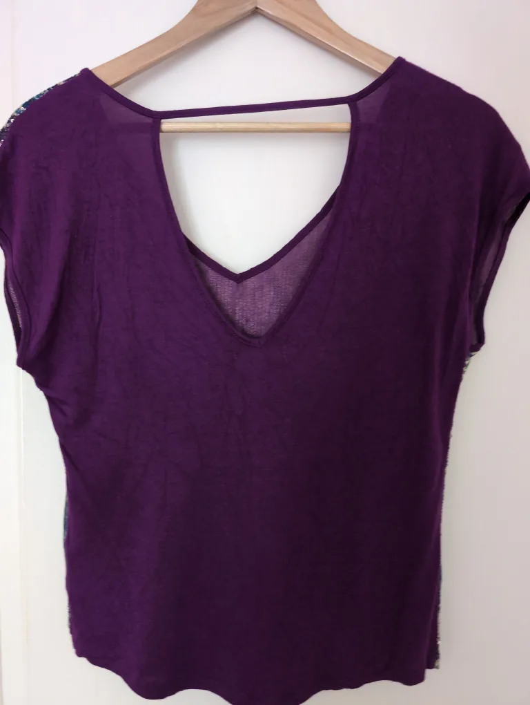 🇨🇦Seductions Sequin Top - Size S image indicator(2)