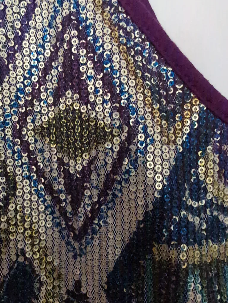 🇨🇦Seductions Sequin Top - Size S image indicator(4)