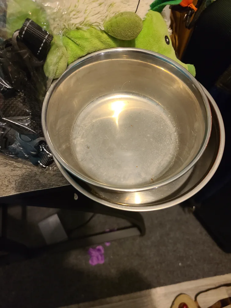 Dog clothes, toys, and  bowl bundle. image indicator(4)